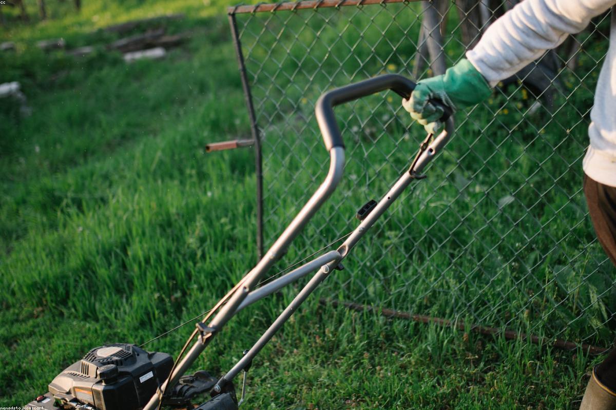 Potager en carrés surélevés avec allées de gravier dans un jardin nantais