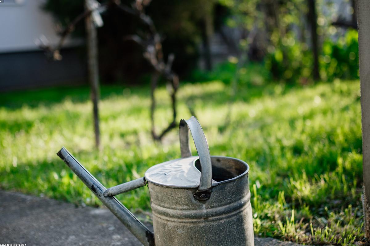 Jardinier-paysagiste taillant un arbuste dans un jardin à Nantes